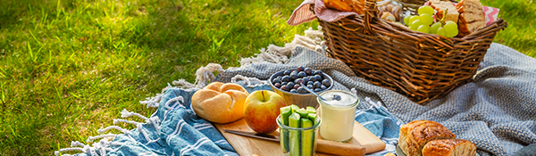 TNAC-Newsletter-Image-Picnic