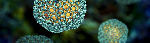 TNAC-Newsletter-Image_Rift-Valley-Fever